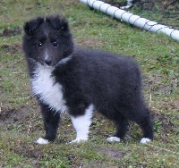 Publication : White And Black Blue Auteur : Espigarez Christine