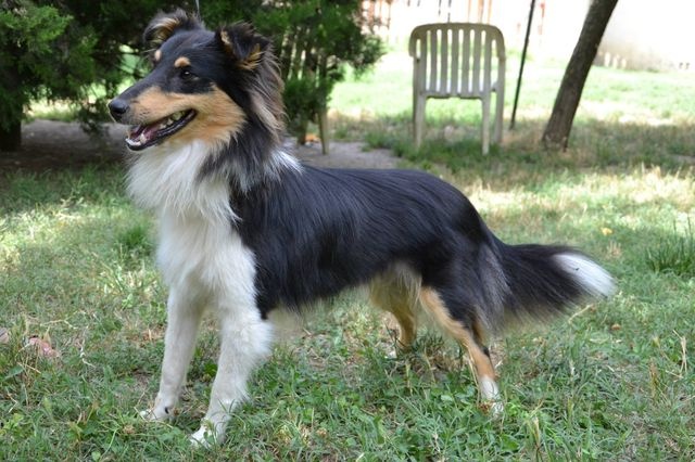 Publication : White And Black Blue Auteur : Espigarez Christine