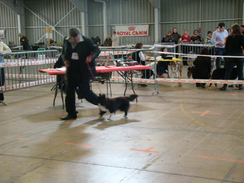 Publication : White And Black Blue Auteur : Espigarez Christine