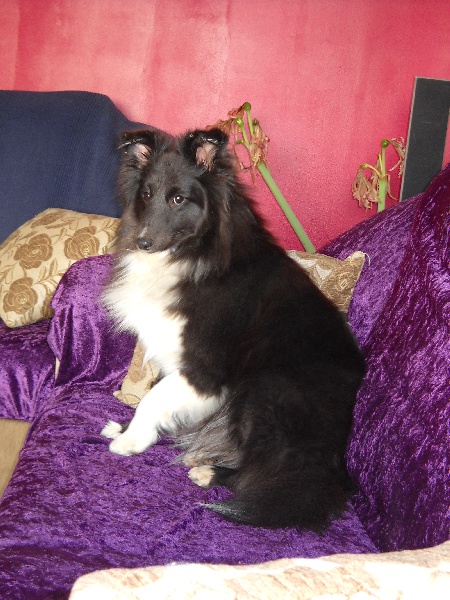 Publication : White And Black Blue Auteur : Espigarez Christine