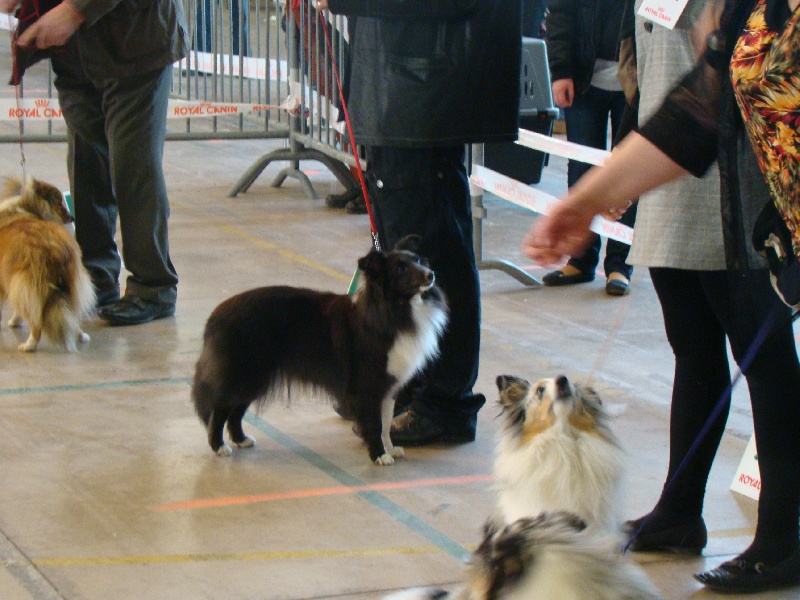 Publication : White And Black Blue Auteur : Espigarez Christine