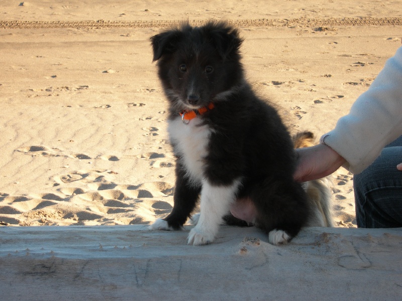 Publication : White And Black Blue Auteur : Espigarez Christine