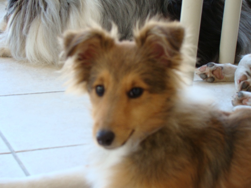 Publication : White And Black Blue Auteur : Espigarez Christine