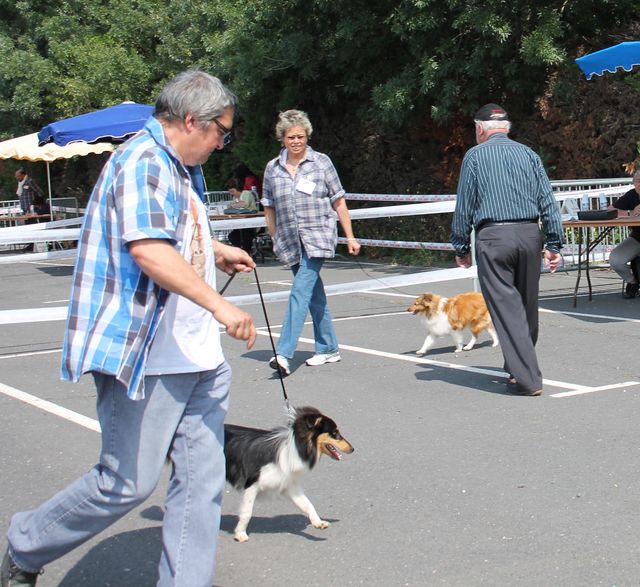 Publication : White And Black Blue Auteur : Espigarez Christine