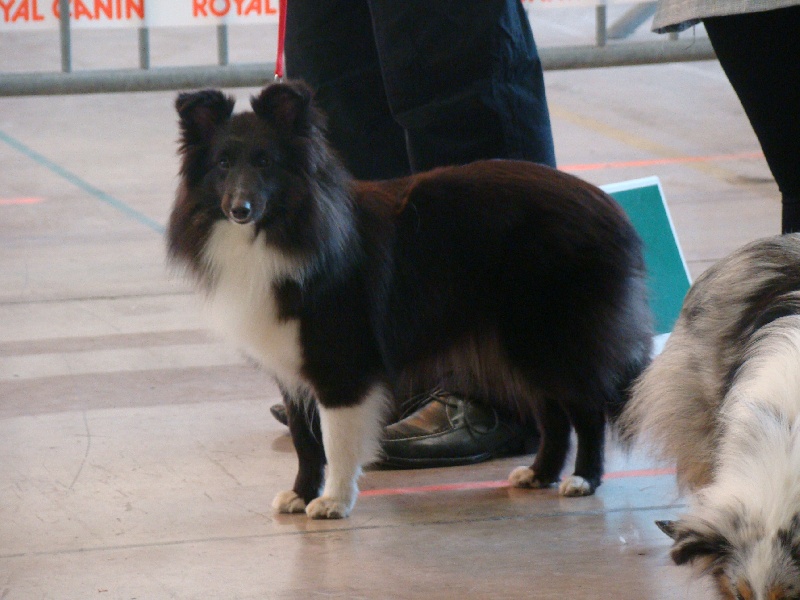 Publication : White And Black Blue Auteur : Espigarez Christine