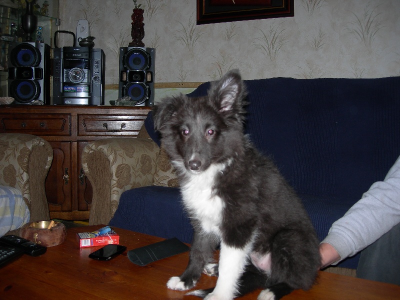 Publication : White And Black Blue Auteur : Espigarez Christine