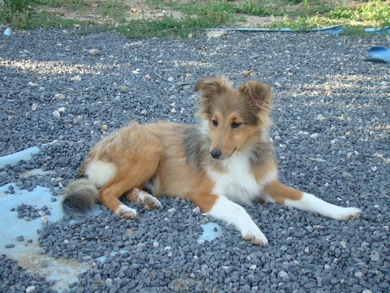 Publication : White And Black Blue Auteur : Espigarez Christine