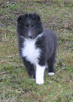 Publication : White And Black Blue Auteur : Espigarez Christine