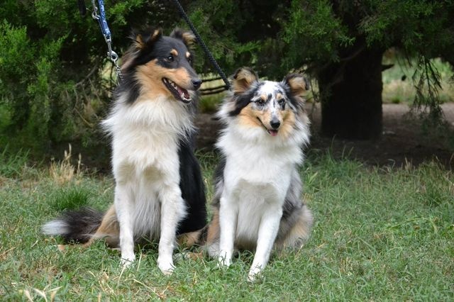 Publication : White And Black Blue Auteur : Espigarez Christine