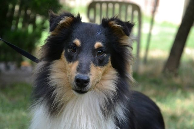 Publication : White And Black Blue Auteur : Espigarez Christine