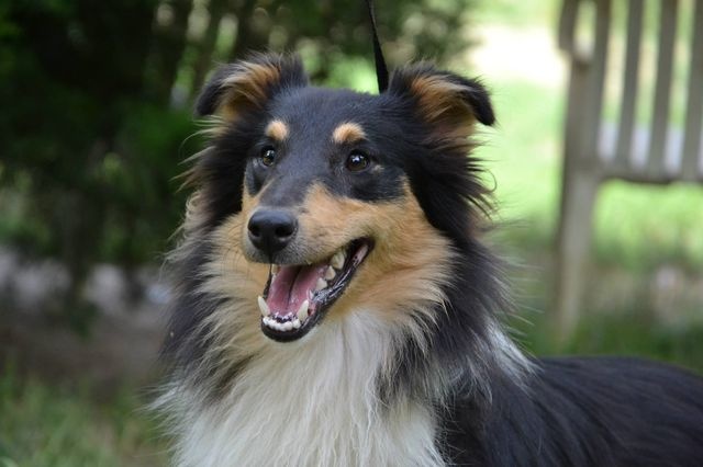 Publication : White And Black Blue Auteur : Espigarez Christine