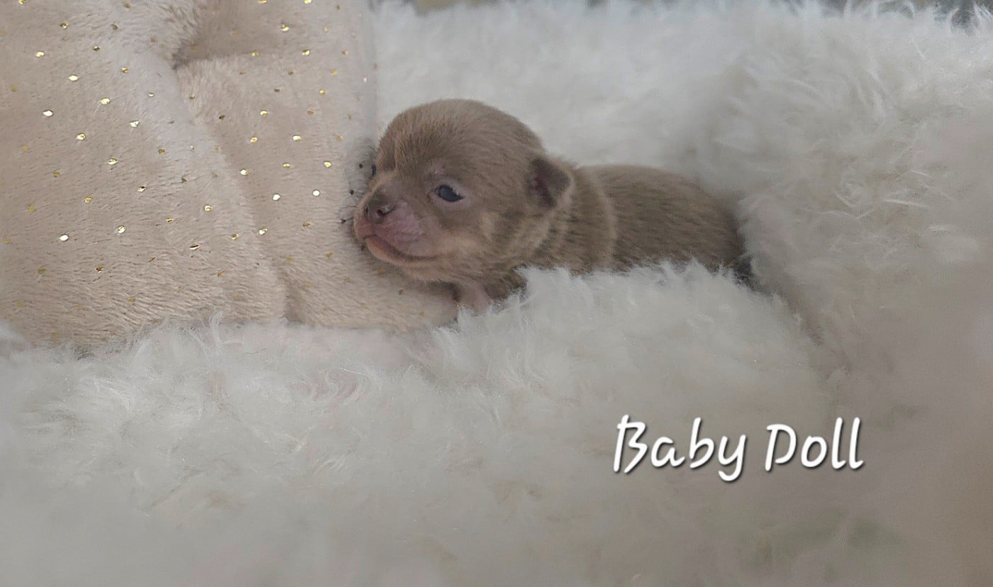 BABY DOLL