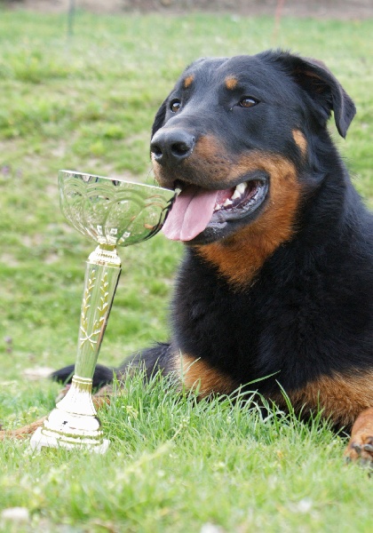 Publication : Du Brasier Auteur : Julia Bassetti