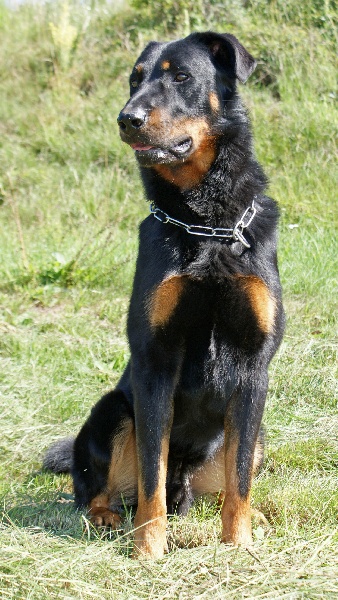 Publication : Du Brasier Auteur : Julia Bassetti