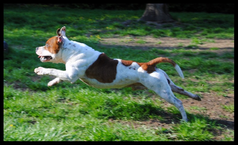 Publication : hot king staff