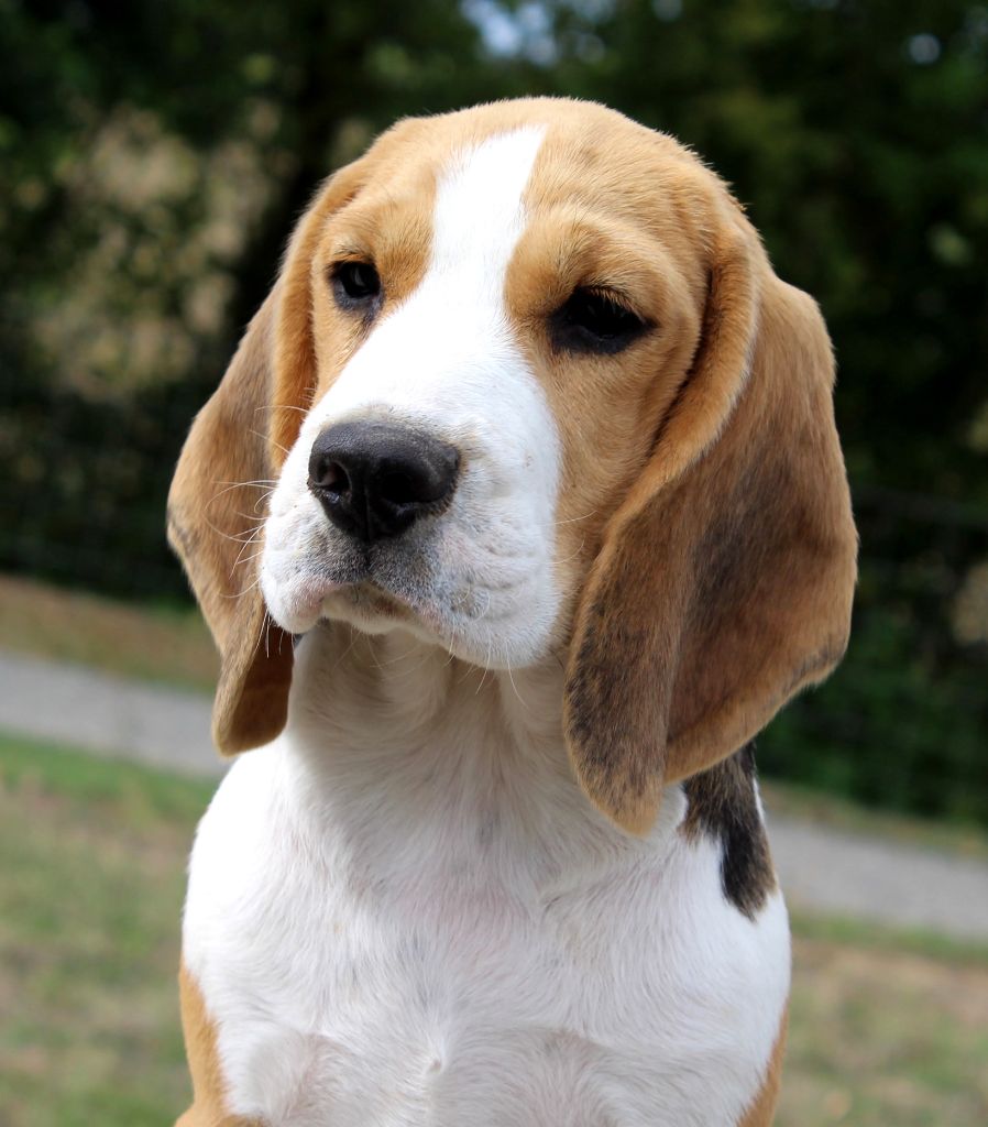 Publication : Des Chasseurs Du Temps Auteur : C.Fréville