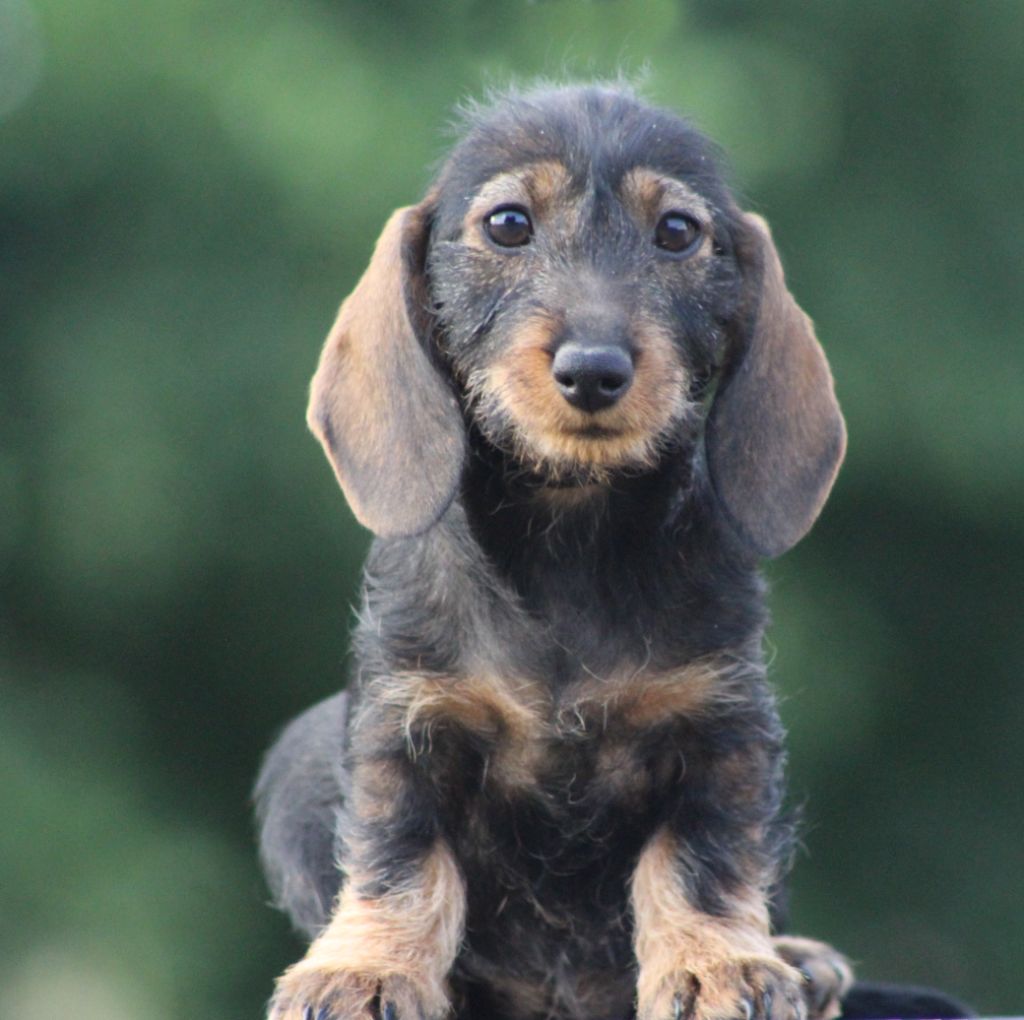 Publication : de L' Air Salin Auteur : C Fréville