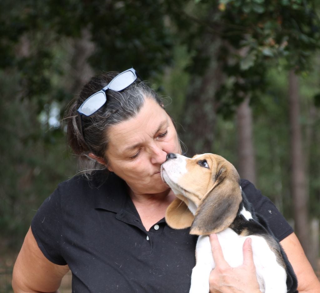 Publication : Des Chasseurs Du Temps Auteur : C Fréville
