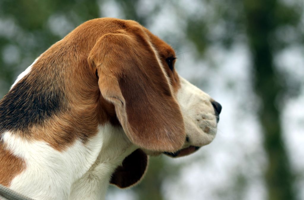 Publication : Des Chasseurs Du Temps Auteur : C.Fréville