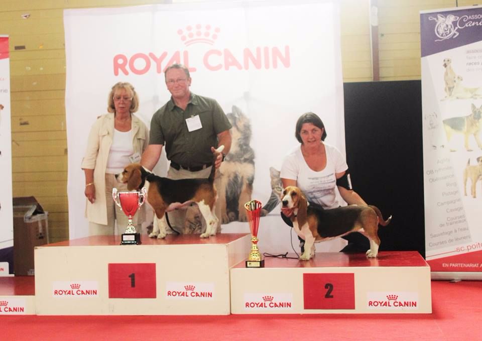 Iwa Des Chasseurs Du Temps - 1er Excellent - CACS - Meilleur de race - Meilleur du 6ème Groupe