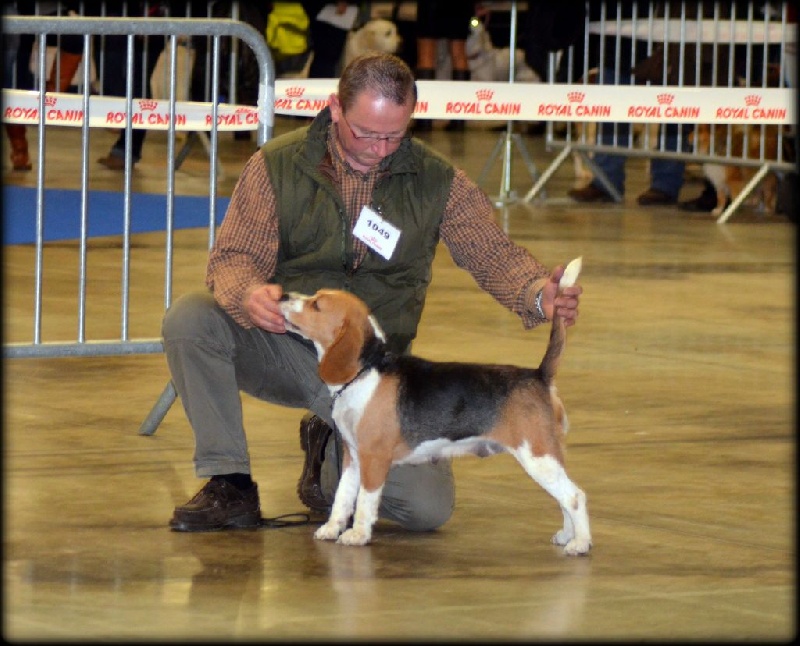 Iwa Des Chasseurs Du Temps - 1er Excellent - CACS