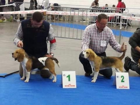 Larbalette Des Chasseurs Du Temps - 2ème Excellent