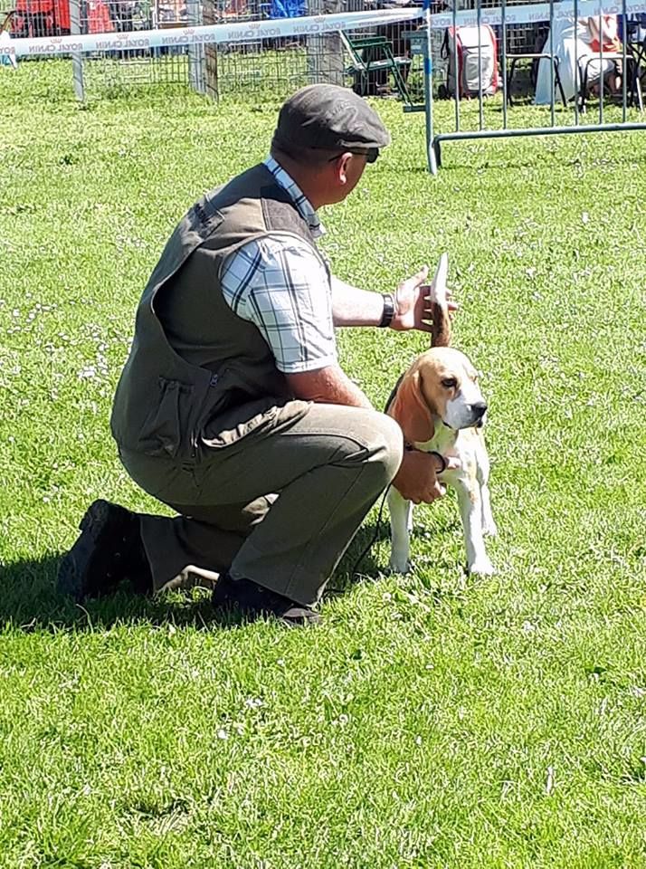 Larbalette Des Chasseurs Du Temps - 1er Excellent - R-CACS