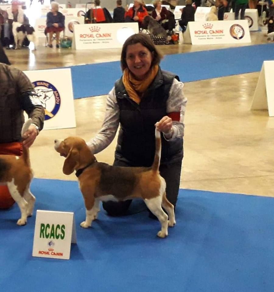 Nocturne Des Chasseurs Du Temps - 1er excellent R-Cacs