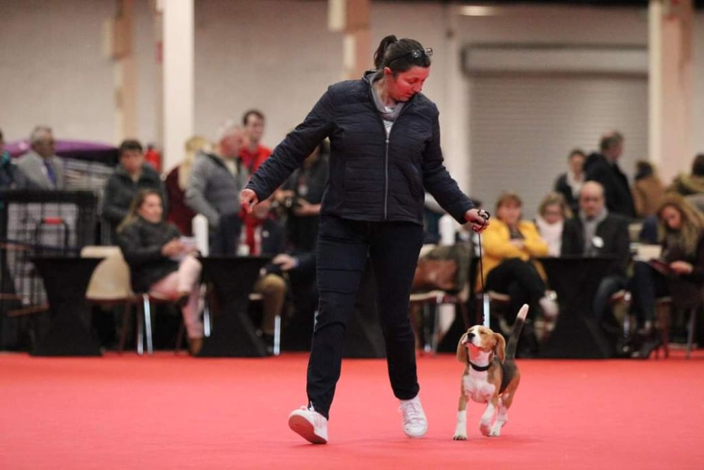 Trompette Des Chasseurs Du Temps - 1er Très Prometteur - Meilleur Baby