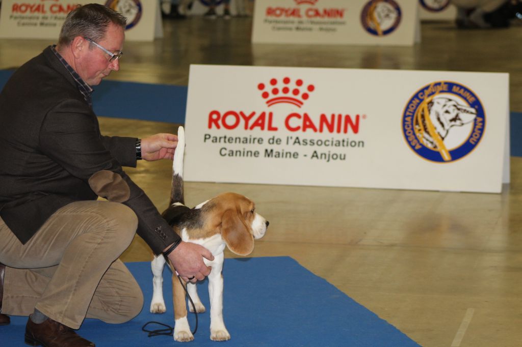 Pisteur Des Chasseurs Du Temps - 1er Très Prometteur