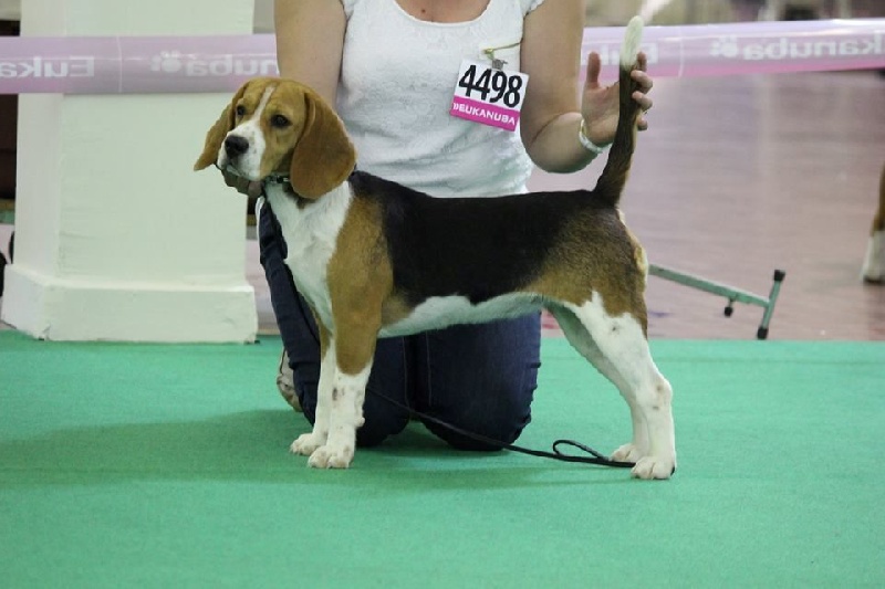 Iwa Des Chasseurs Du Temps - 4ème Excellent