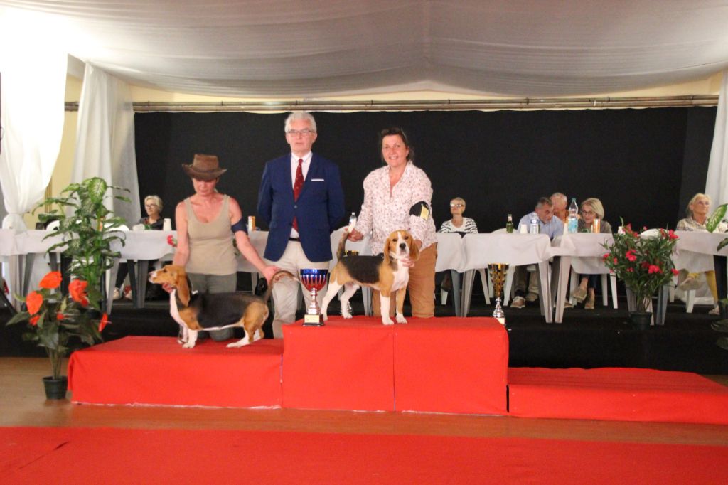 Shasseur du temps (Sans Affixe) - 1er Excellent - Meilleur Jeune - Meilleur jeune du Gr 6