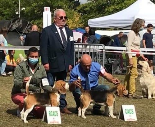 Pisteur Des Chasseurs Du Temps - 1er Excellent - R.CACS