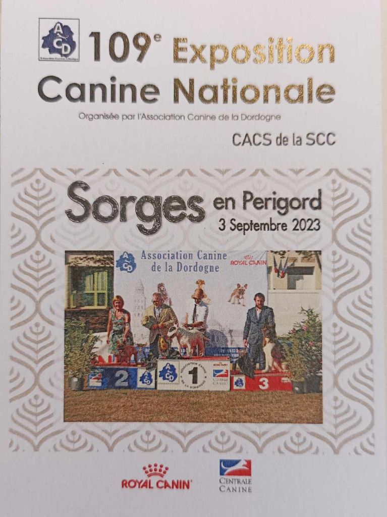 Renée Des Chasseurs Du Temps - 1er Excellent - CACS Meilleur de Race