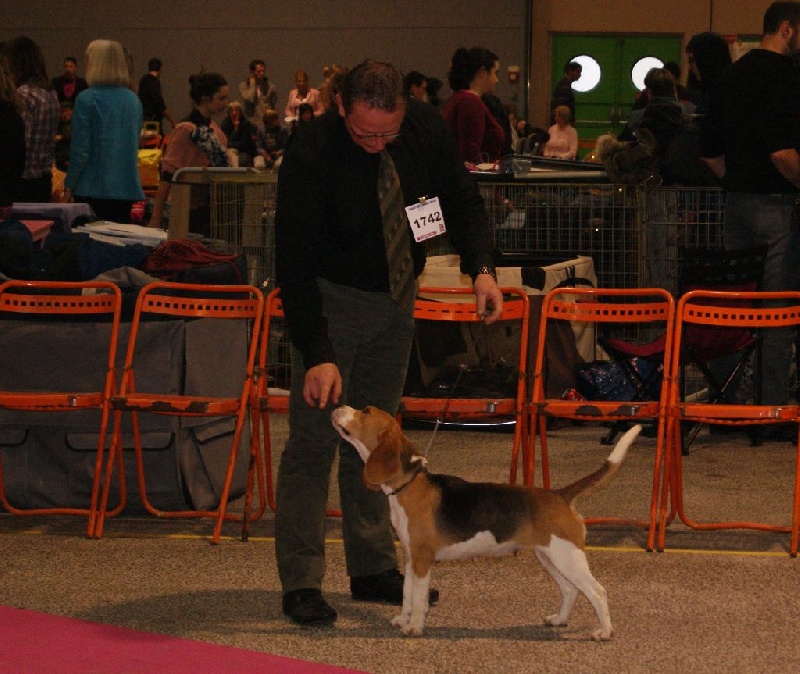 Jaguar Des Chasseurs Du Temps - 2 ème excellent