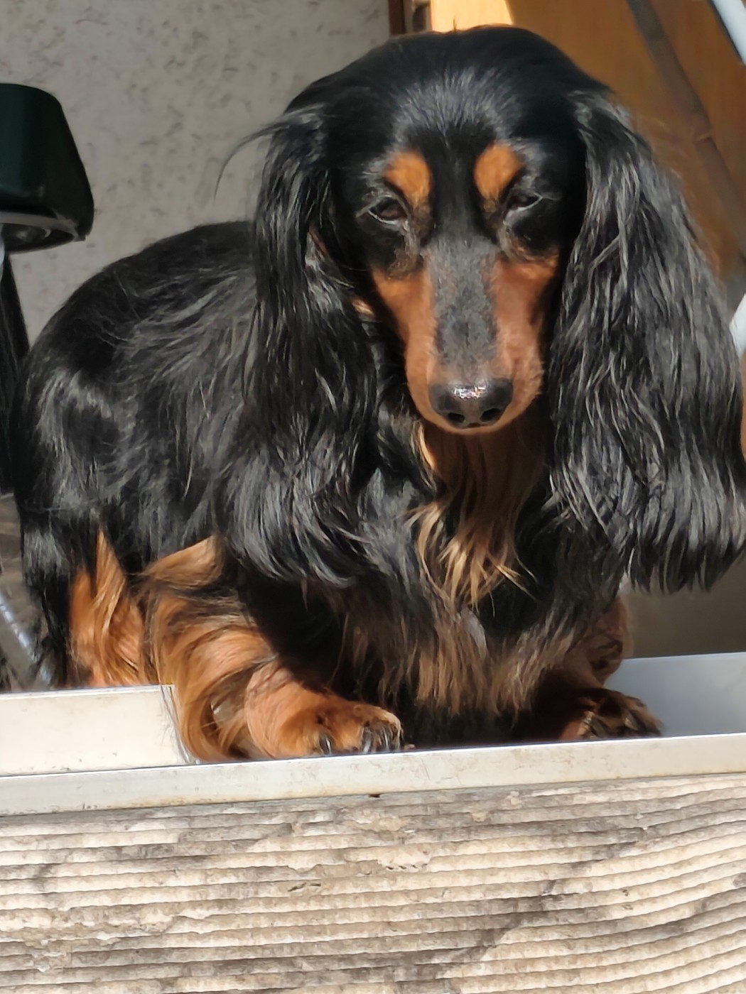 Vlad Du Palais De La Hardt