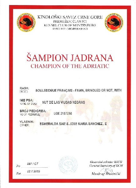 CH. Nut De Las Viudas Negras - EXC 1 CAC