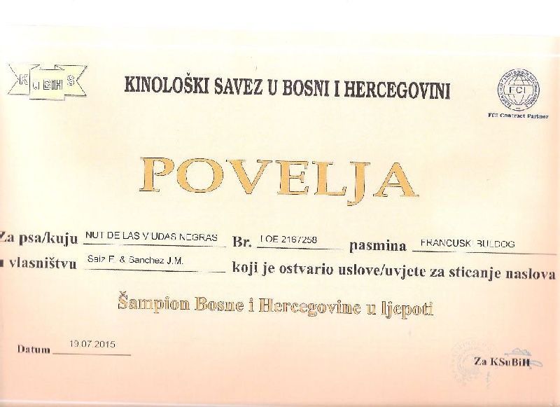 CH. Nut De Las Viudas Negras - EXC 1 CAC