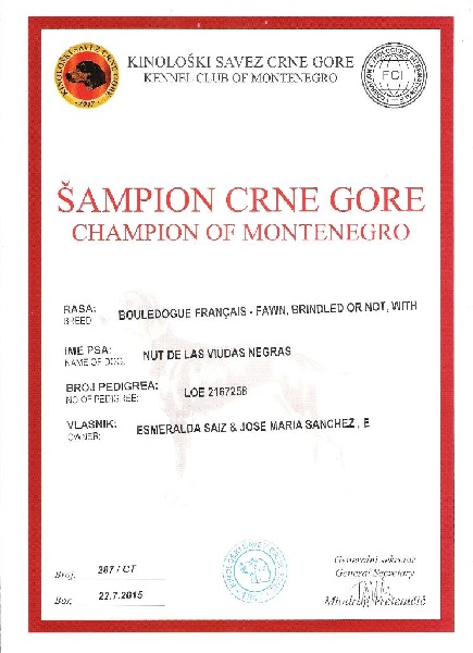 CH. Nut De Las Viudas Negras - EXC 1 CAC