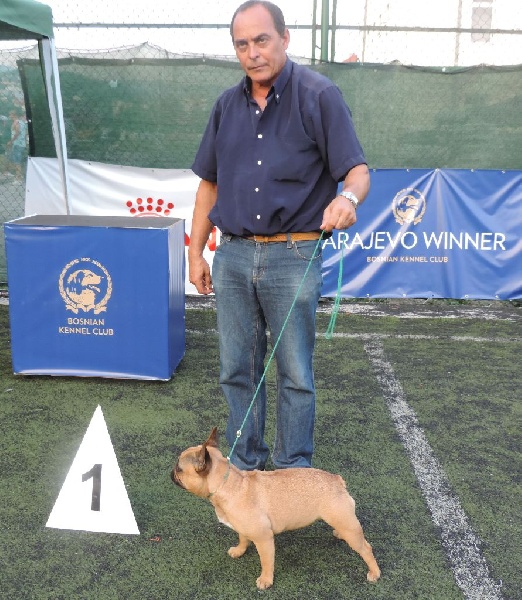 CH. Nut De Las Viudas Negras - EXC 1 CAC