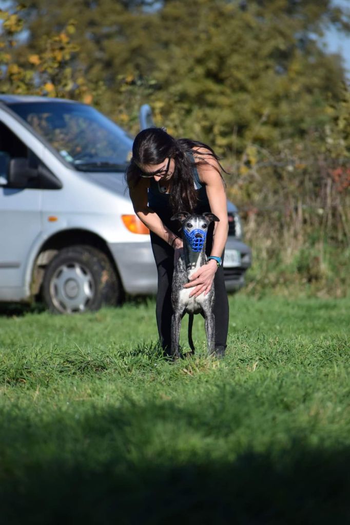 Publication : De Lev'horse