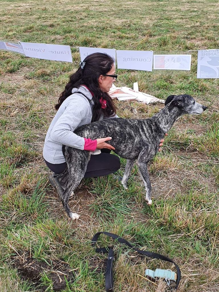 Publication : De Lev'horse