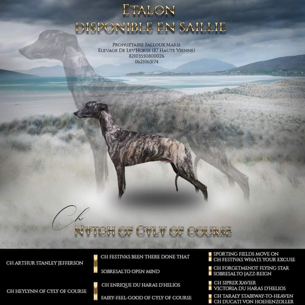 Publication : De Lev'horse