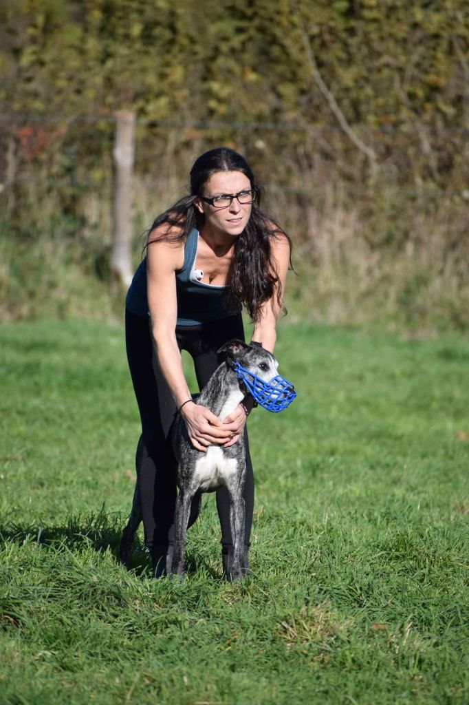 Publication : De Lev'horse