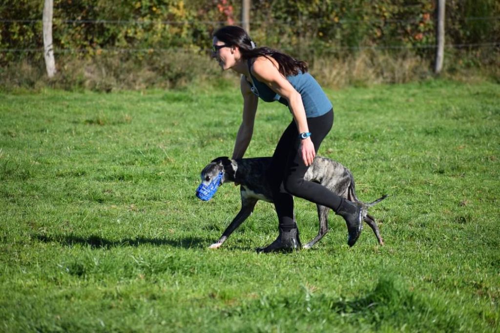 Publication : De Lev'horse