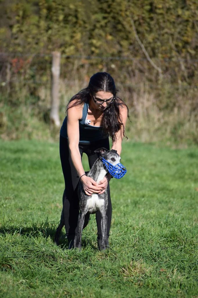 Publication : De Lev'horse