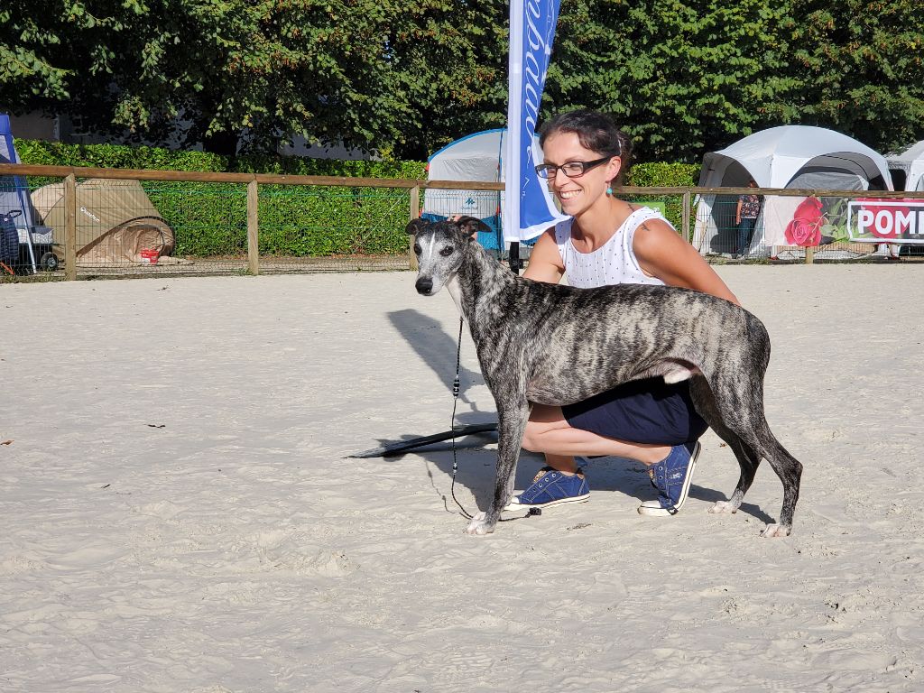 CH. Nytch of Cyly of Course - 4 ème Excellent