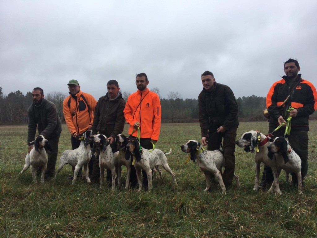 Isard des hurleurs du chateau - 125