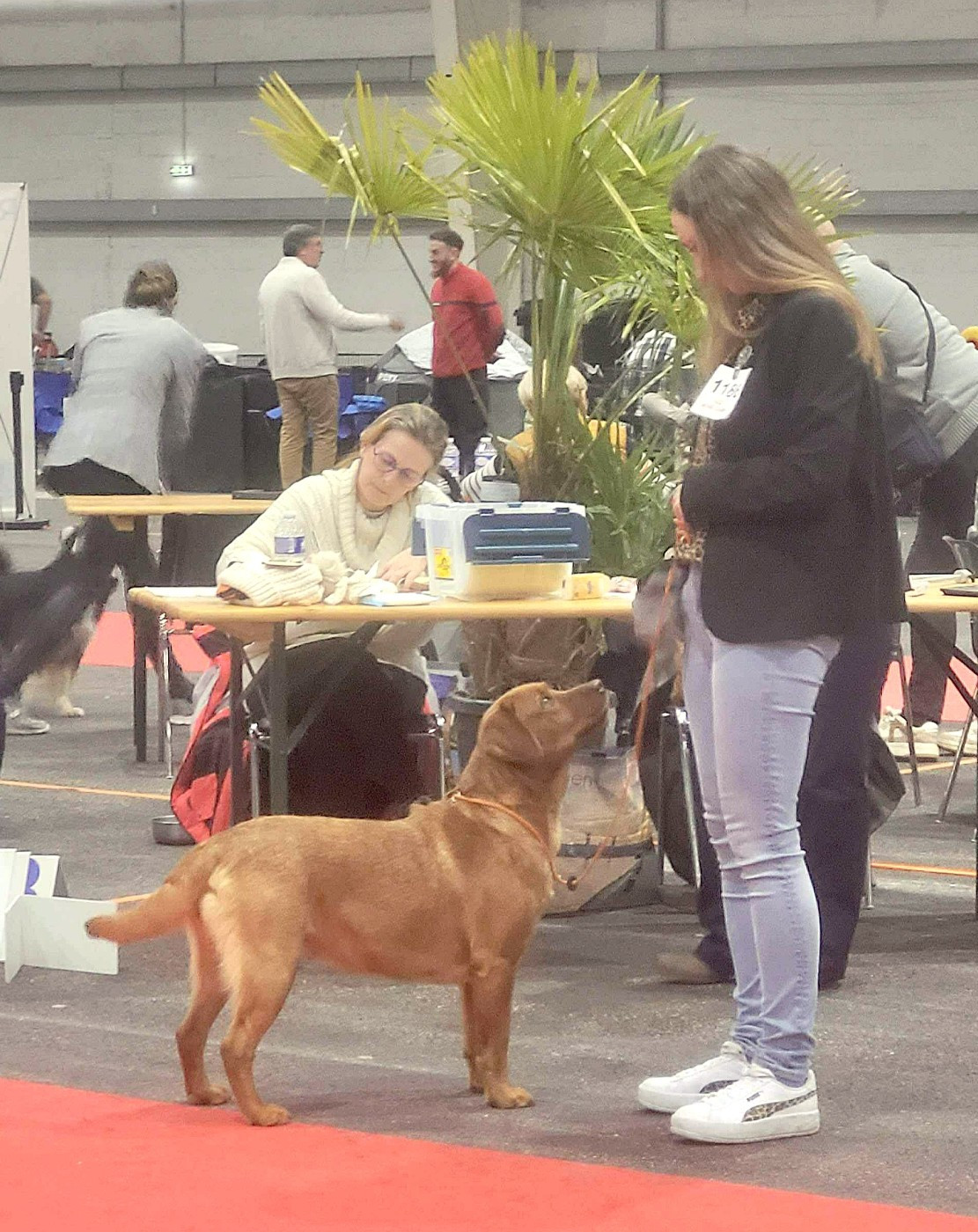 Publication : Du Domaine De Biazak