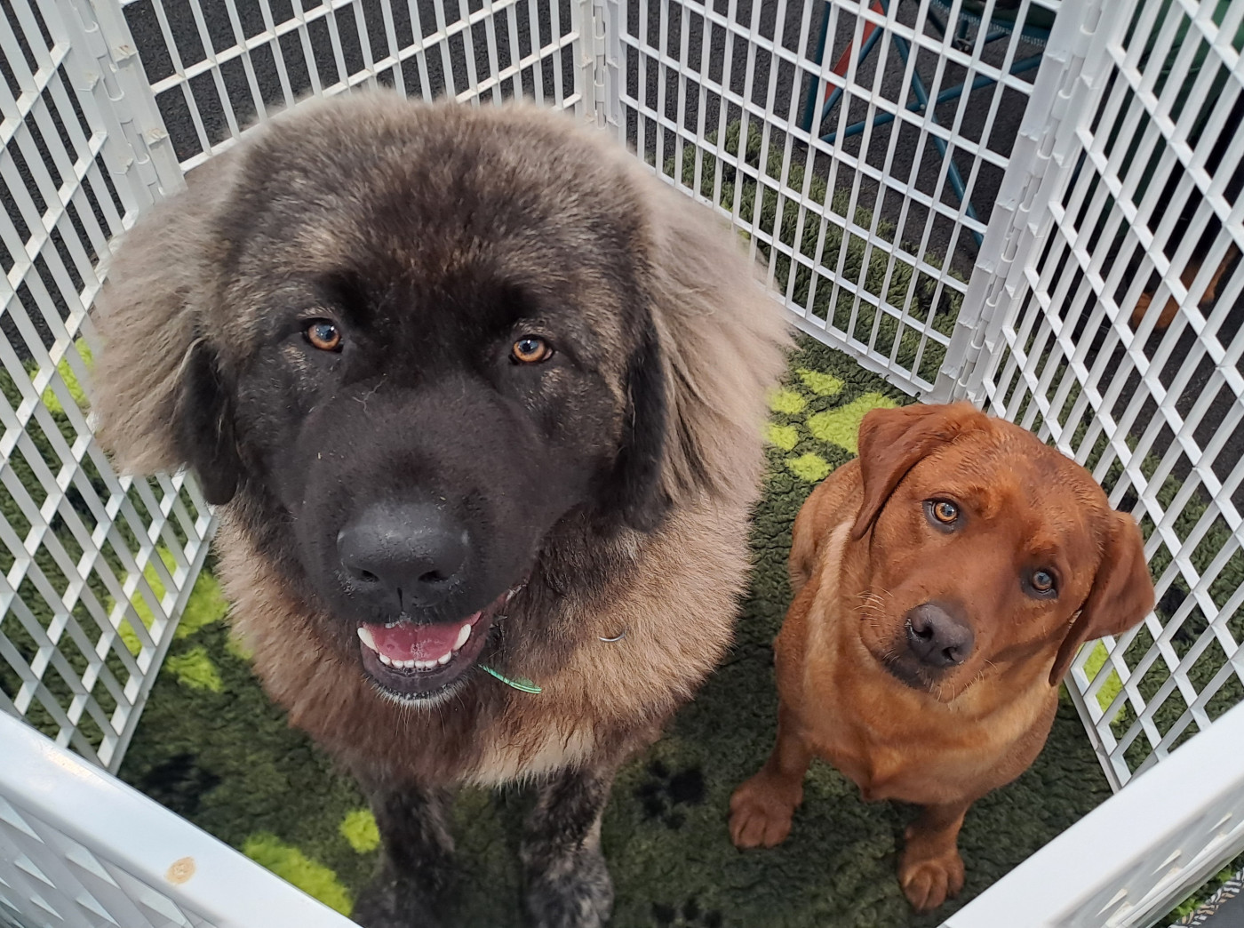 Publication : Du Domaine De Biazak